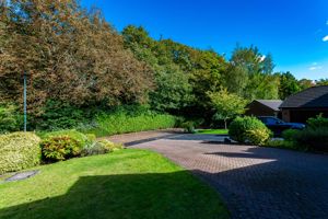 Photo 41- click for photo gallery